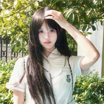 男人与流浪狗