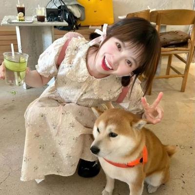 狮穴